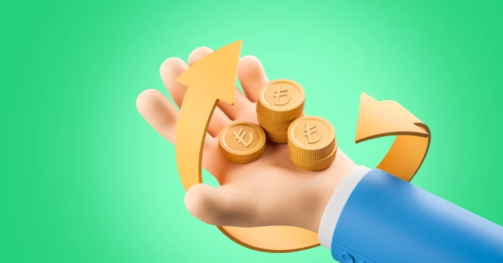 Chargeback nedir? Kredi kartı işlemlerinde dolandırıcılığa karşı nasıl korunabilirsiniz? Ters İbraz (Chargeback) hakkında detaylar.